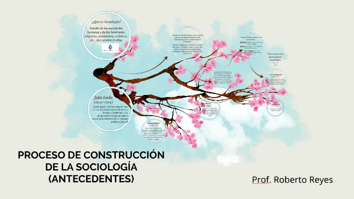 construccion de la sociologia - Cómo fue el surgimiento de la sociología