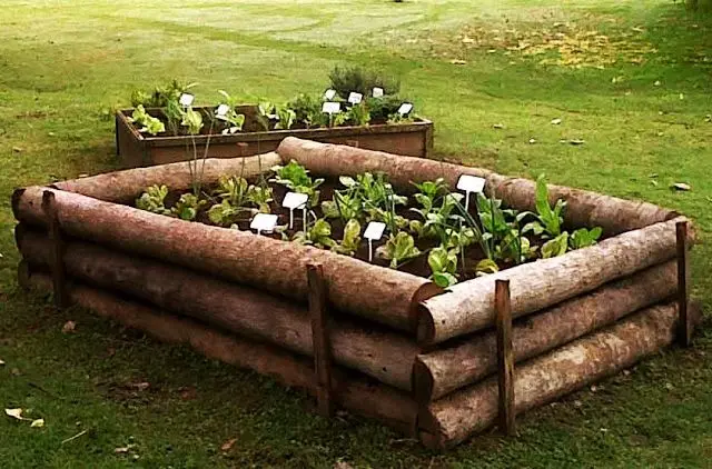 Construyendo tu propia huerta: Una guía completa - Cómo se prepara el terreno para una huerta construccion de una huerta - Cómo se prepara el terreno para una huerta