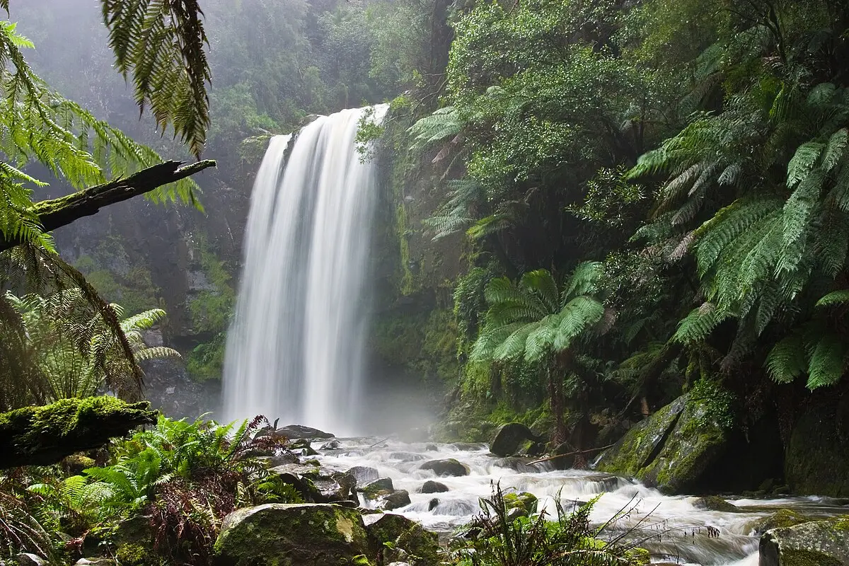 cuales son los ambientes - Cuáles son los 4 ambientes naturales