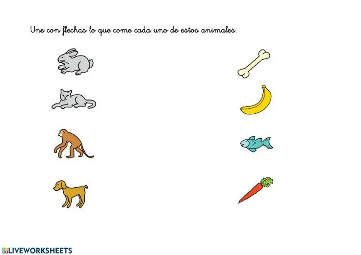 une con flecha - Qué significa la U con una flecha arriba