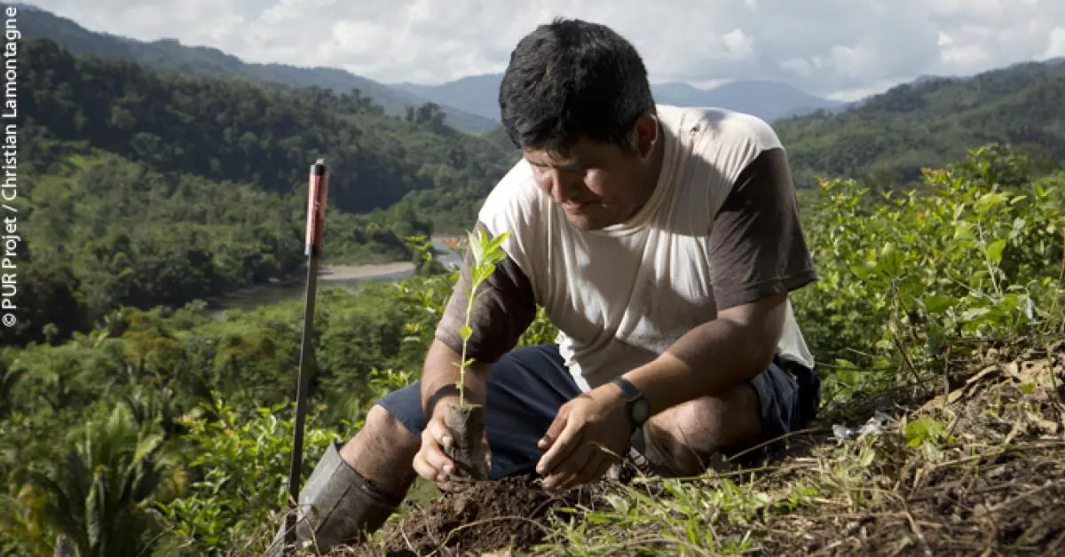 Materiales de Construcción del Gran Pajatén: Una Mirada a la Ingeniería Precolombina - Qué significa pajatén materiales de construcción del gran pajatén - Qué significa pajatén