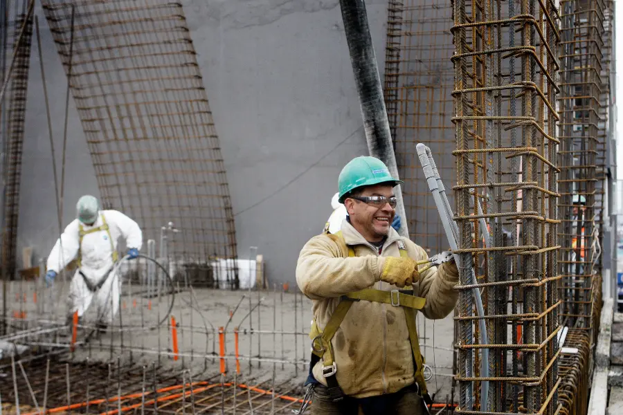 riesgos biológicos en la construcción - Qué son los riesgos biológicos y ejemplos