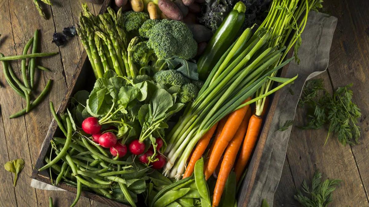 Construcción de Huertas Caseras: Guía Completa para Principiantes - Qué verduras se dan todo el año construccion de huertas caseras - Qué verduras se dan todo el año