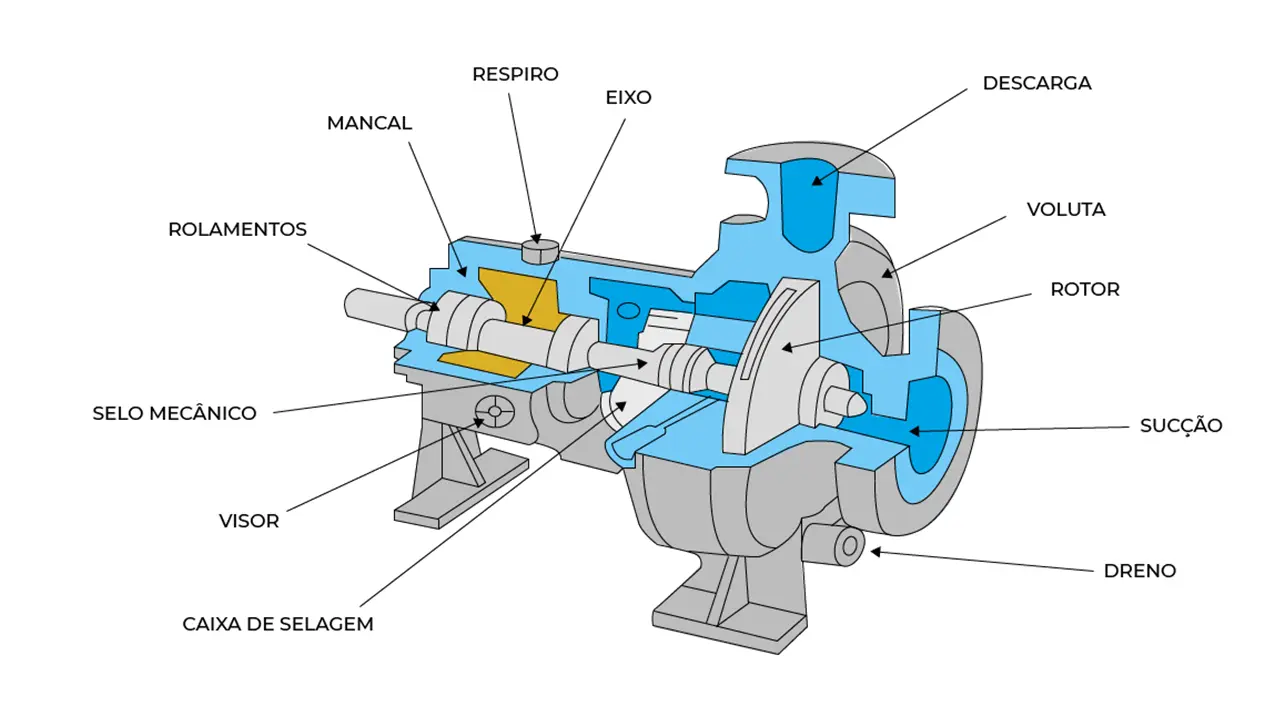 Bombas Centrípetas: Guía Completa de Funcionamiento, Tipos y Aplicaciones - Quién inventó la bomba centrífuga bomba centripeta - Quién inventó la bomba centrífuga